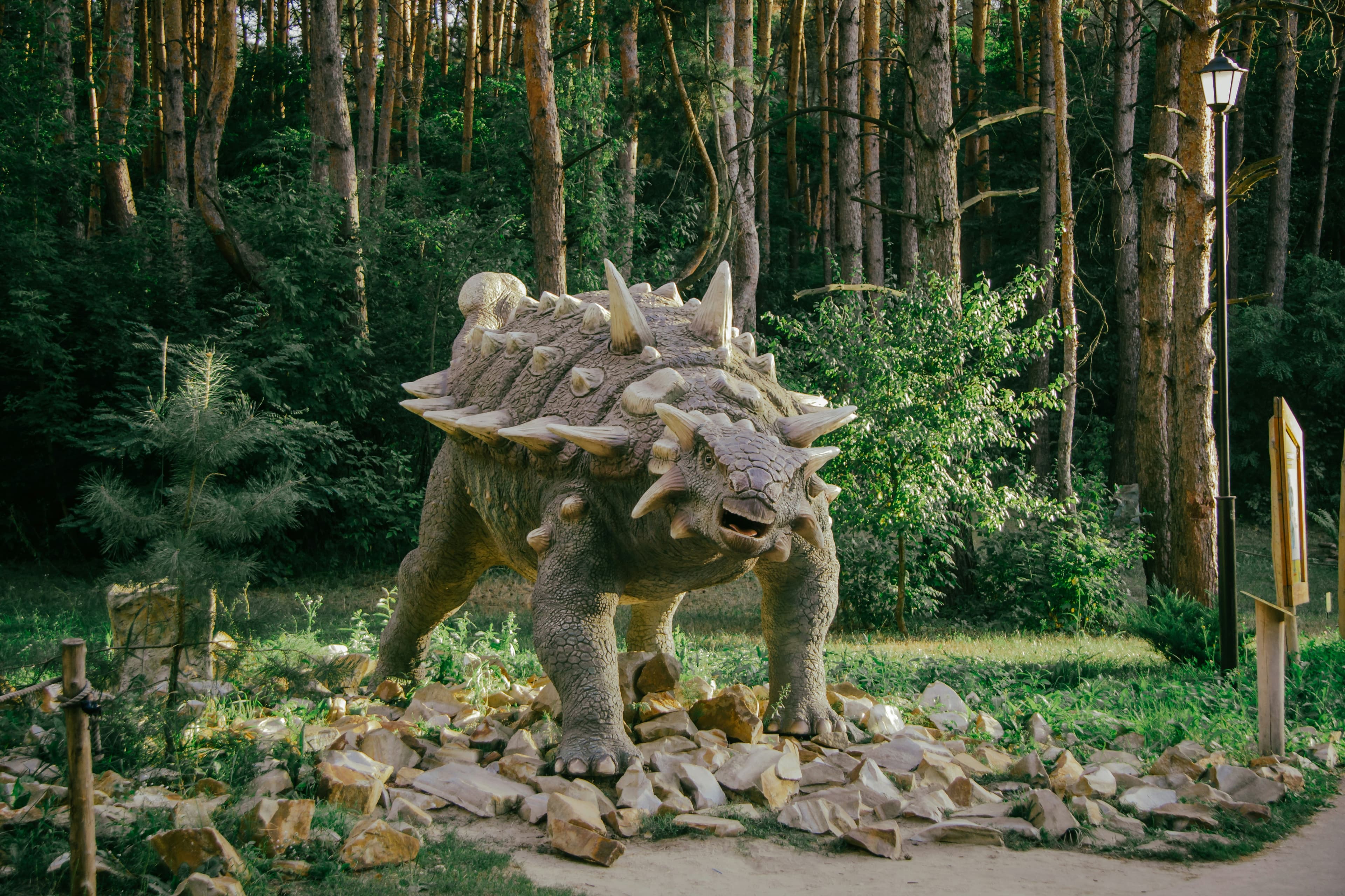 Ankylosaurus armored dinosaur