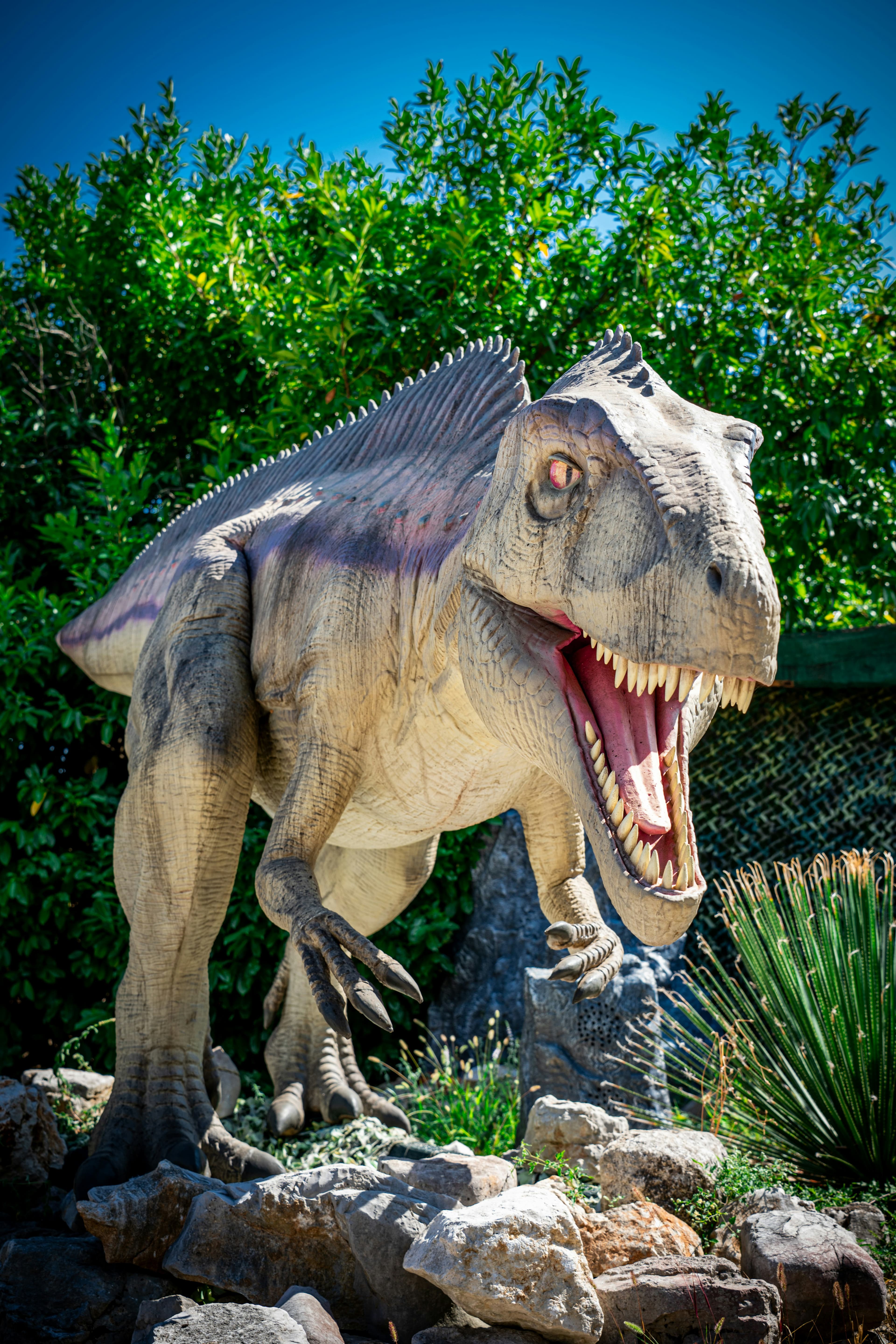 The evolution of predator behavior in the Mesozoic era