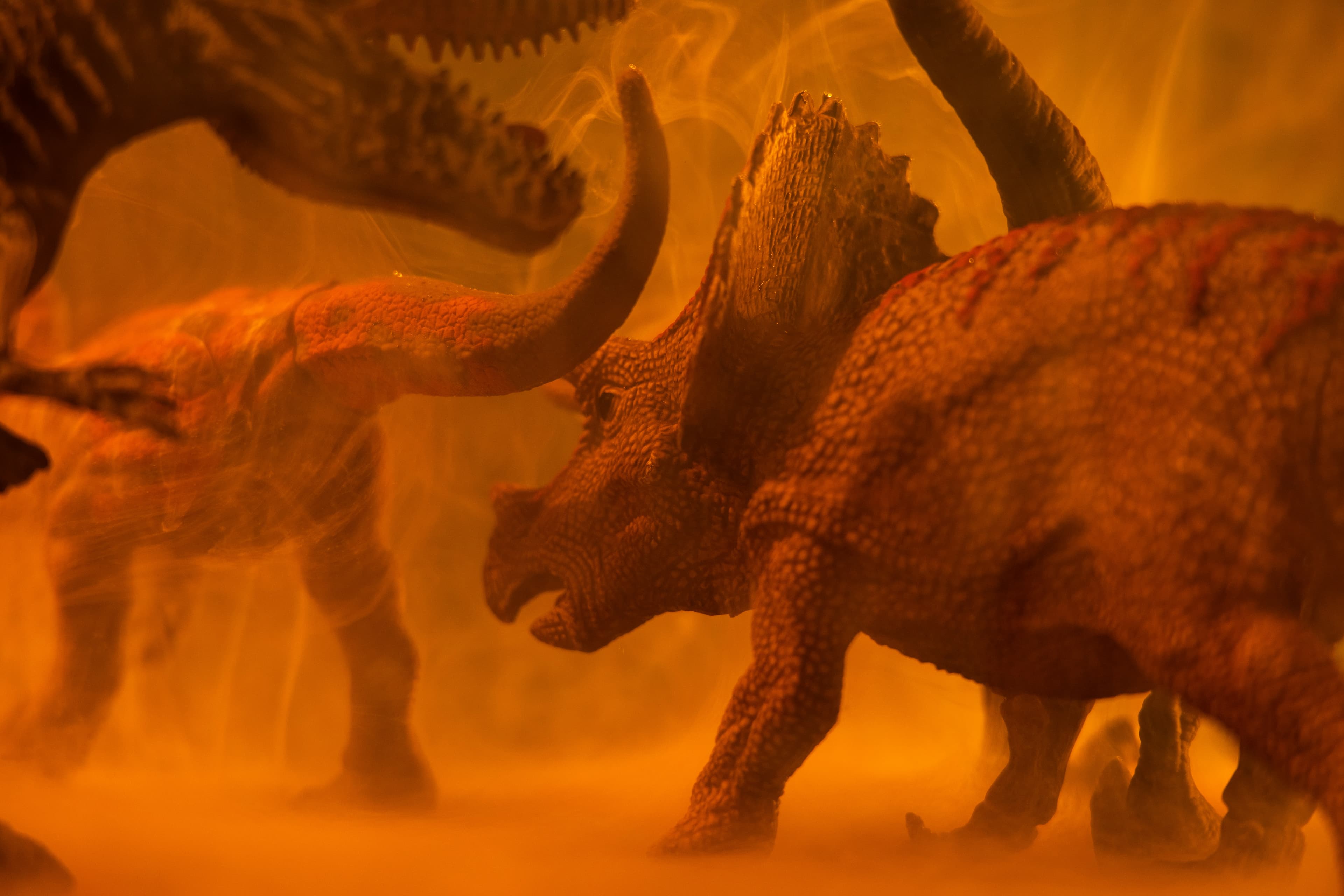 Triceratops silhouette