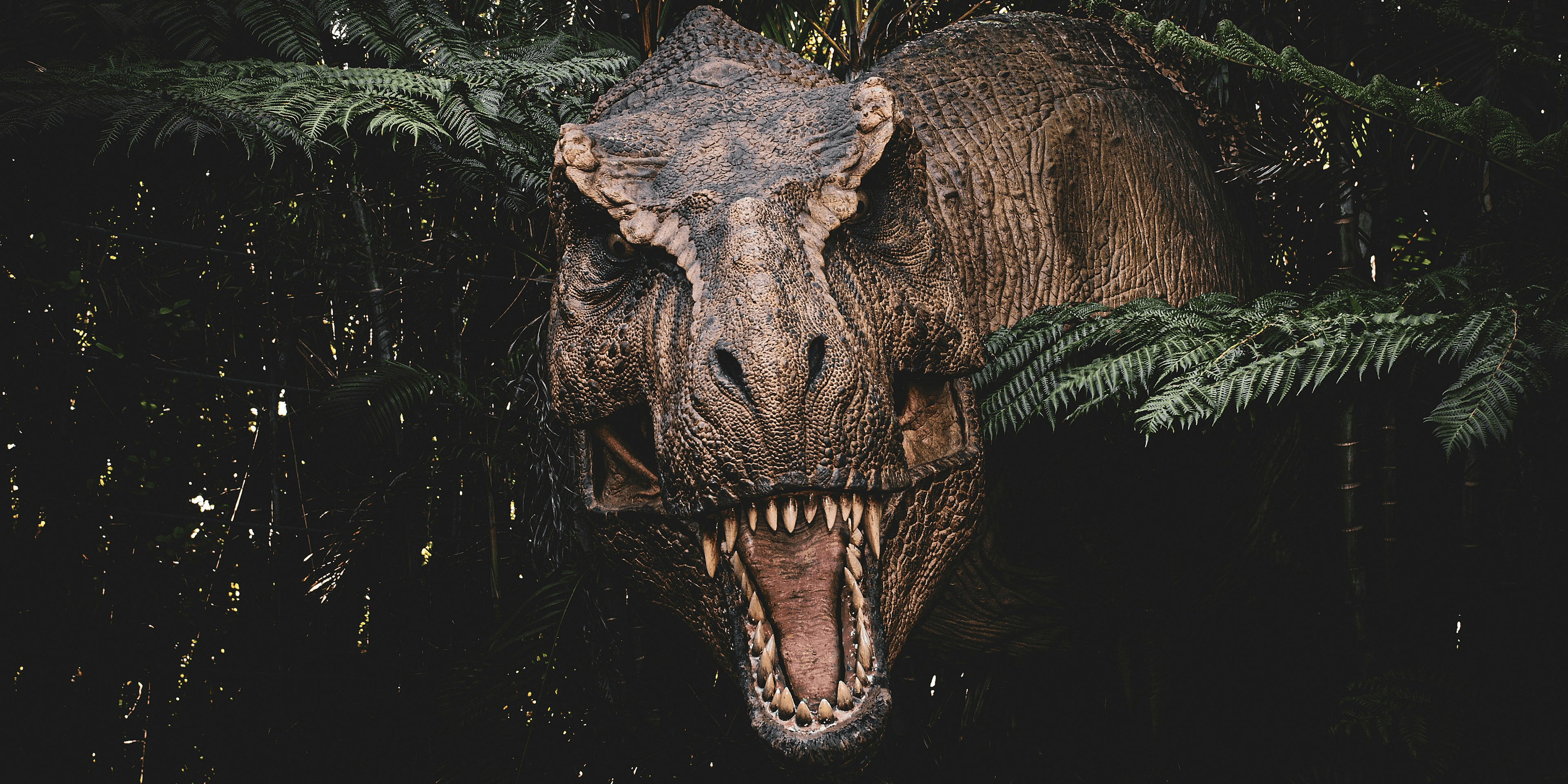 Tyrannosaurus rex hunting