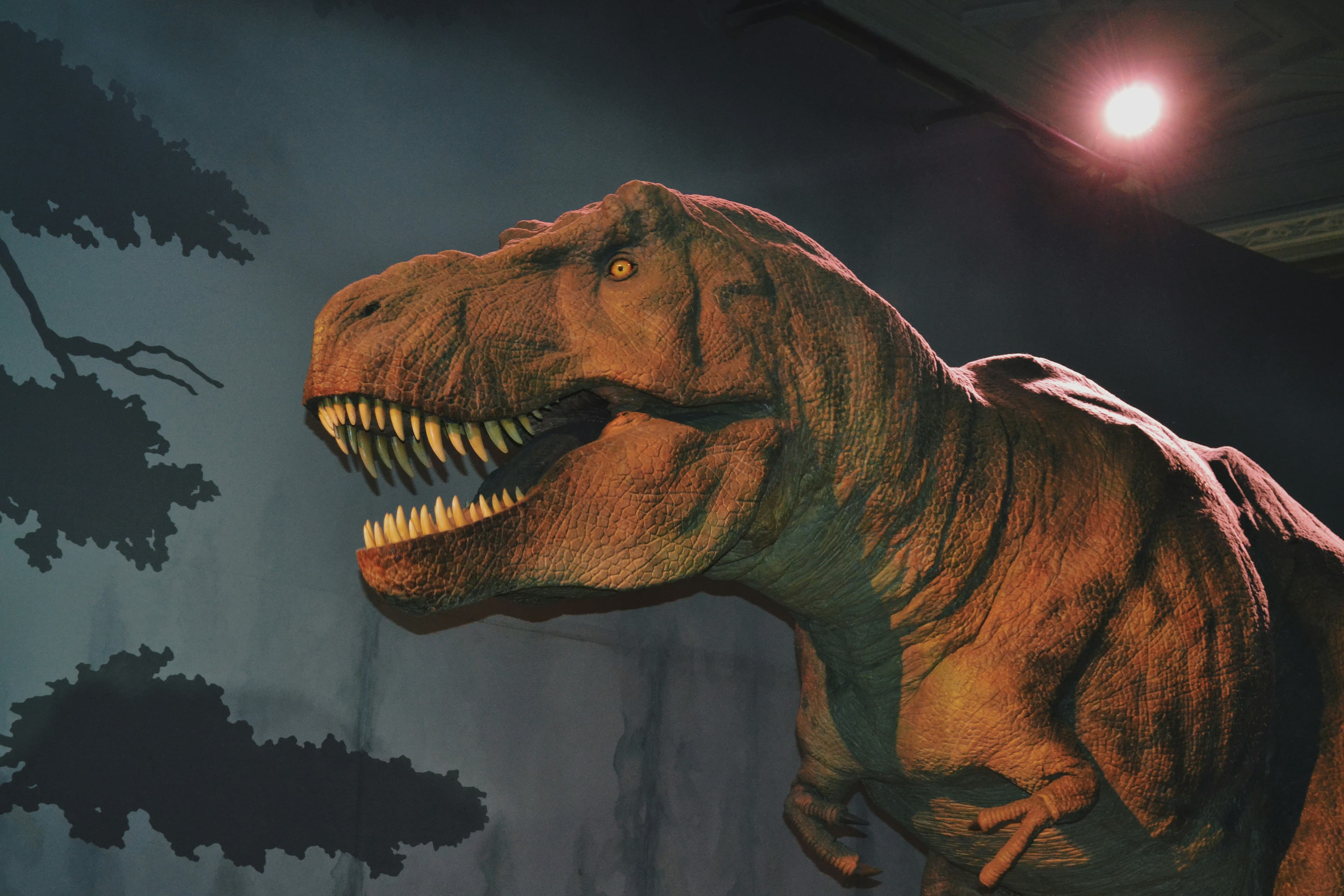Tyrannosaurus rex in the wild